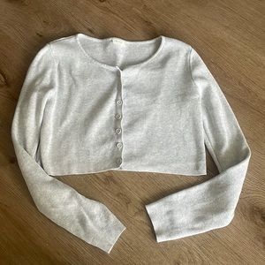John Galt light gray cropped sweater